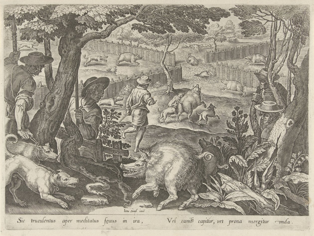 Caccia al cinghiale da Philips Galle