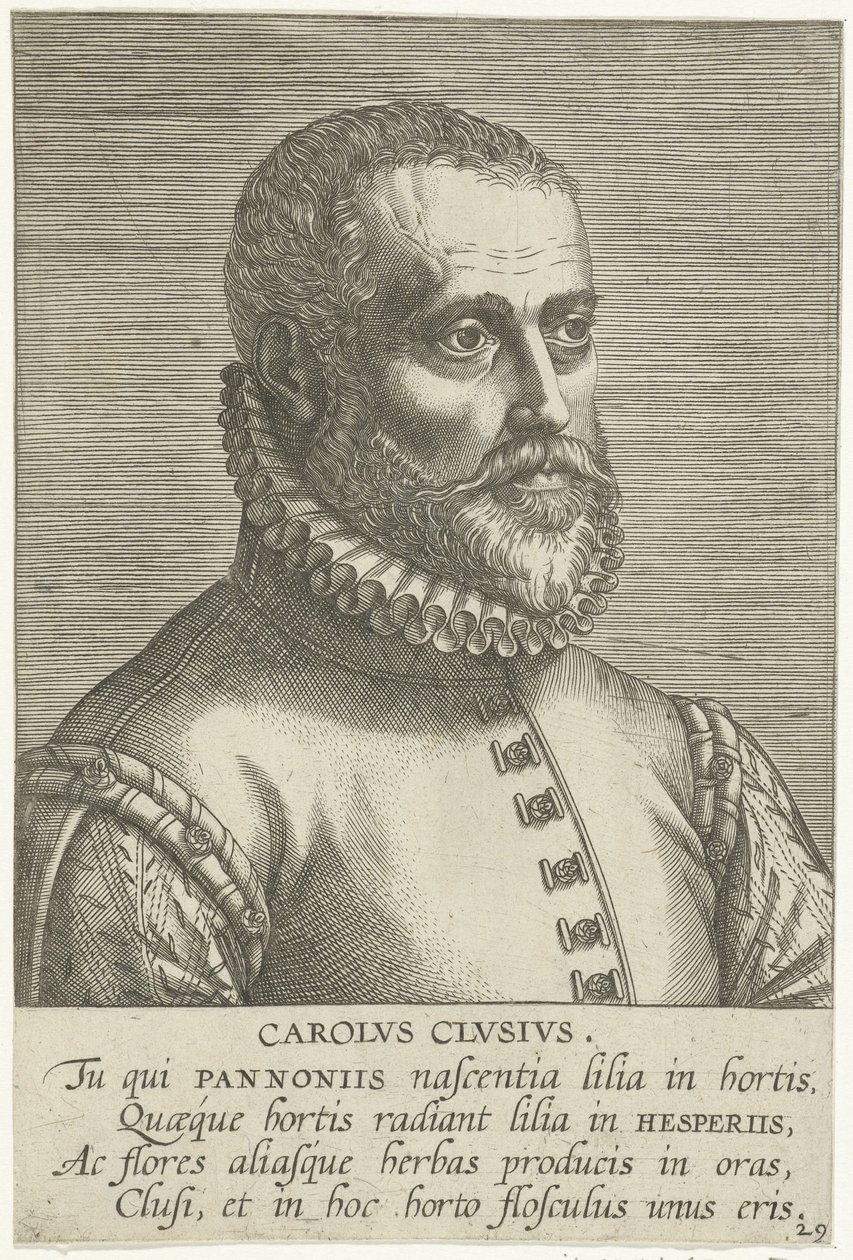 Ritratto di Carolus Clusius da Philips Galle