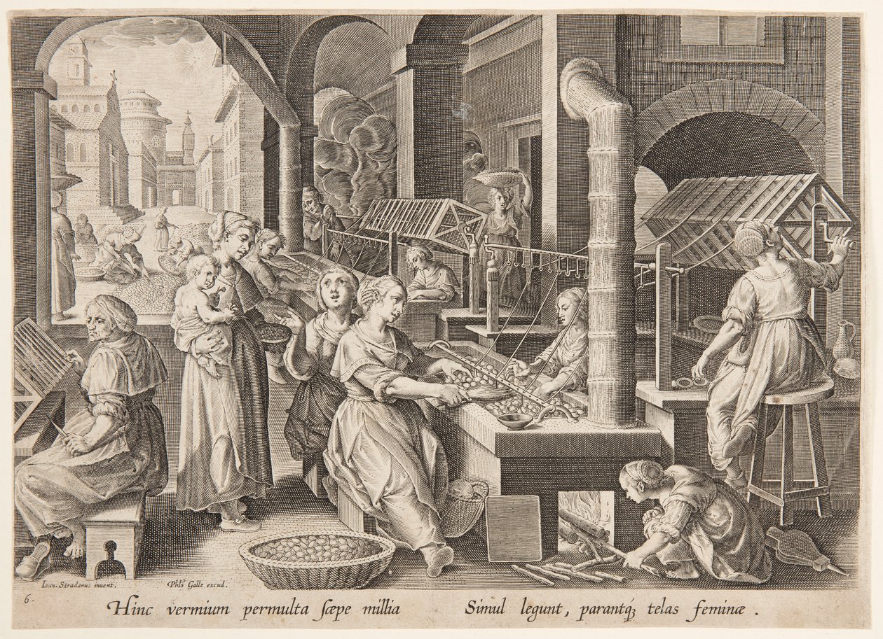 Svolgimento dei bozzoli da Philips Galle