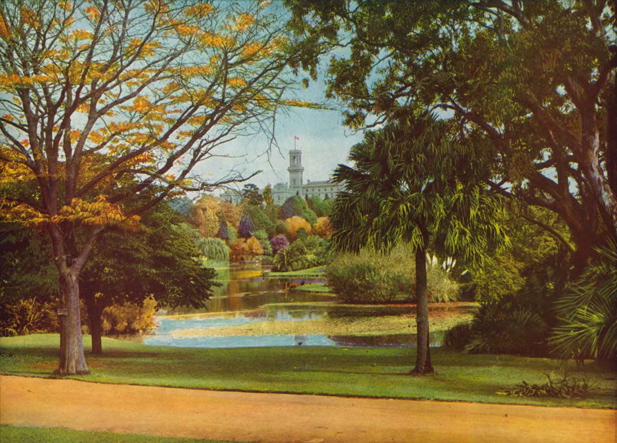  da Photographer Australian