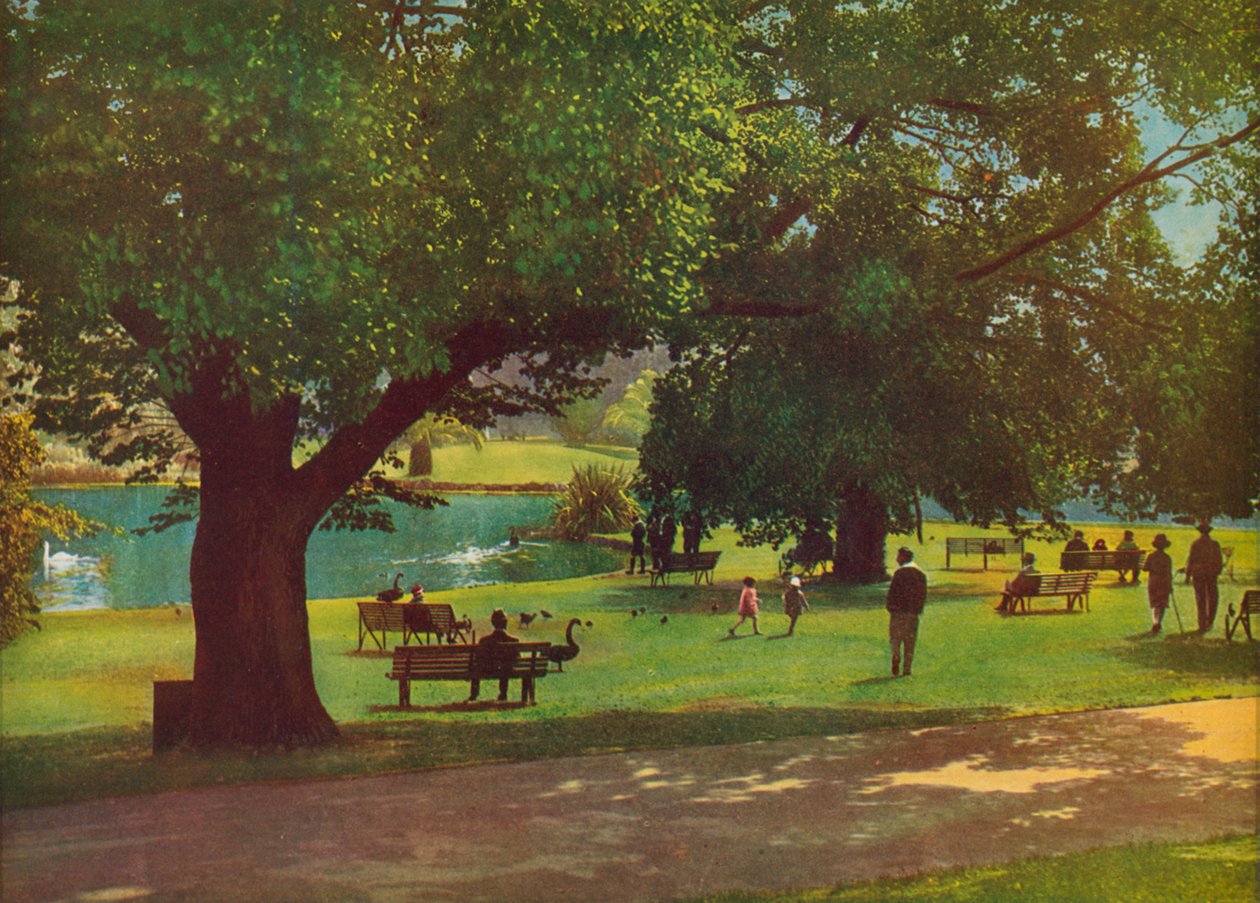  da Photographer Australian