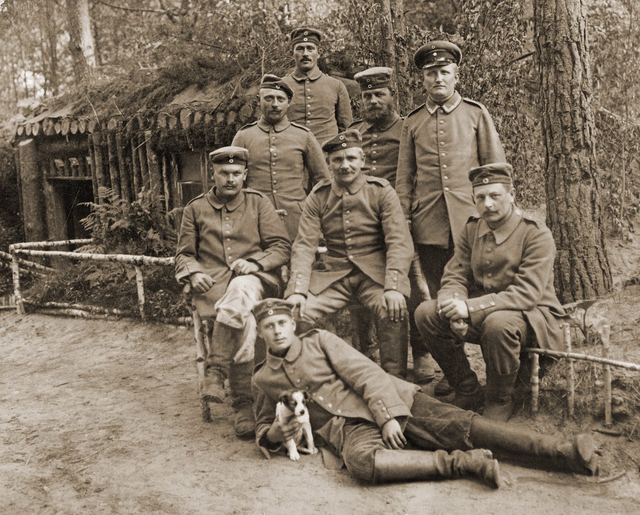 Gruppo di soldati tedeschi con un cane da Photographer German