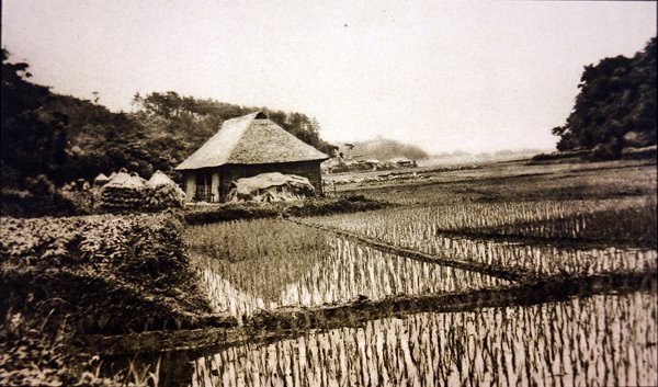 Campi di riso in Giappone da Photographer Japanese