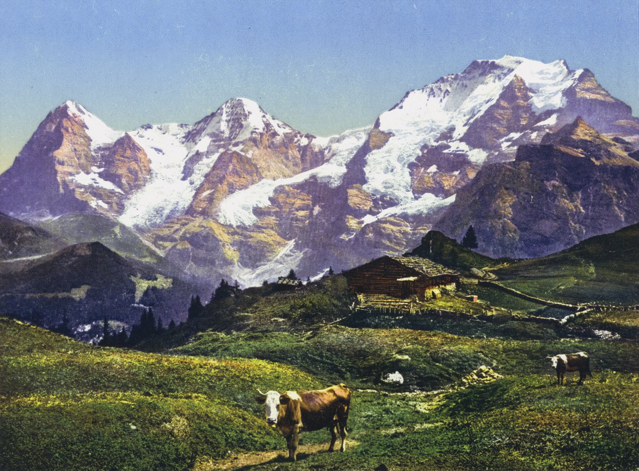 Eiger, Monch e Jungfrau (foto) da Photographer Swiss