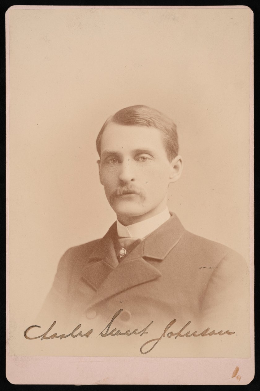 Ritratto di Charles Sweet Johnson, 1870-1871 da Photographic Art Company