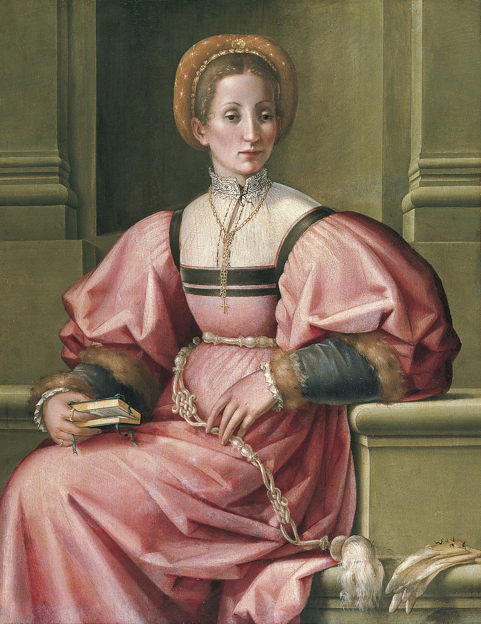 Ritratto di una signora da Pier Francesco di Jacopo Foschi
