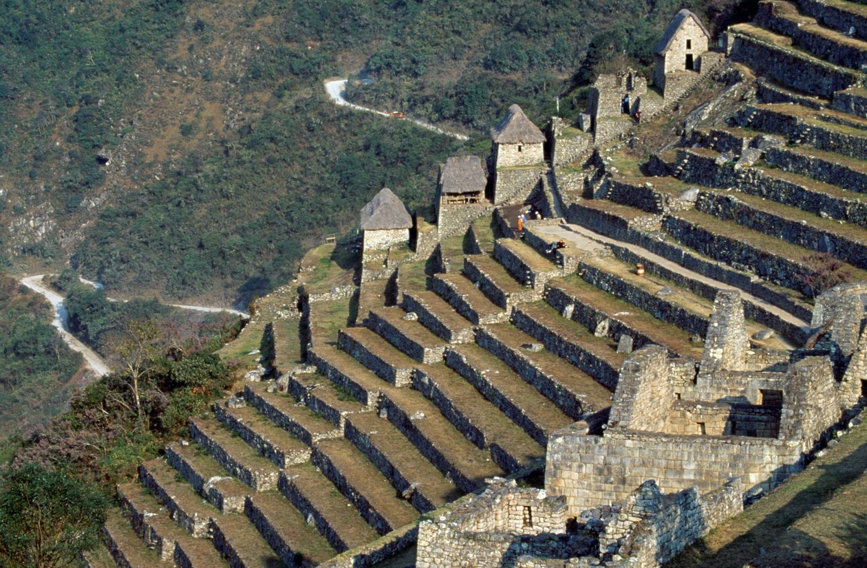 Terrazze, Machu Picchu (Lista del Patrimonio Mondiale UNESCO) da Blaise Nicolas Le Sueur