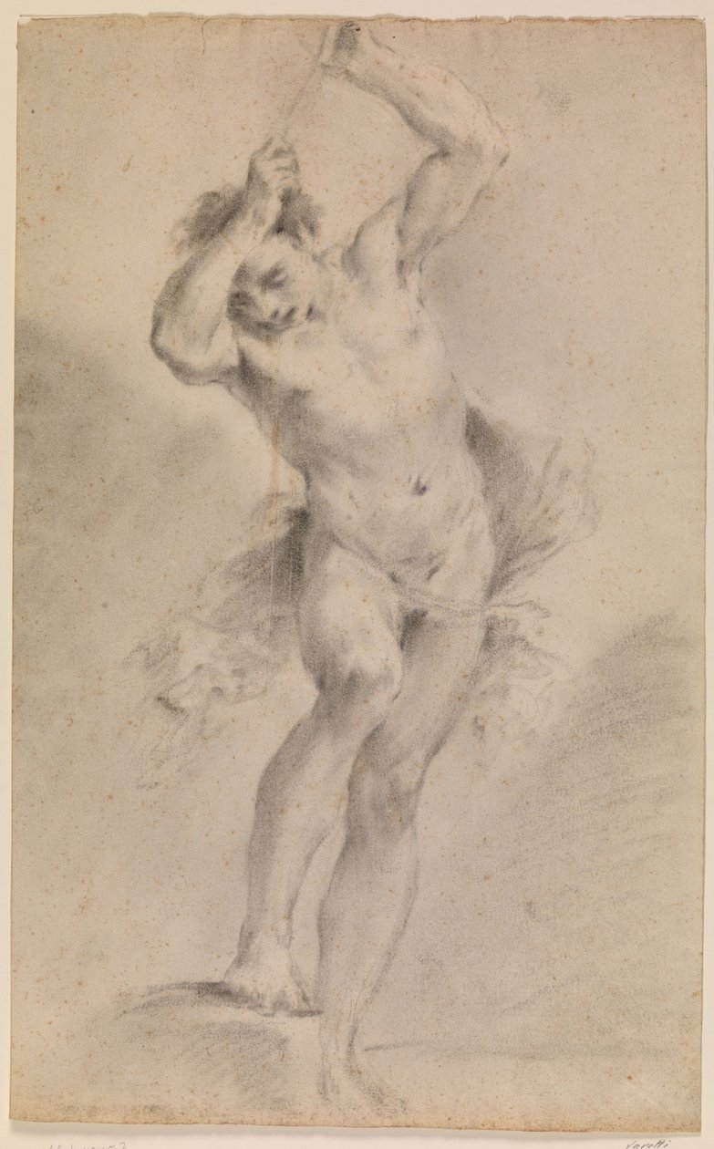 Studio di un giovane uomo nudo con le braccia sollevate davanti alla testa da Pier Paolo Varotti