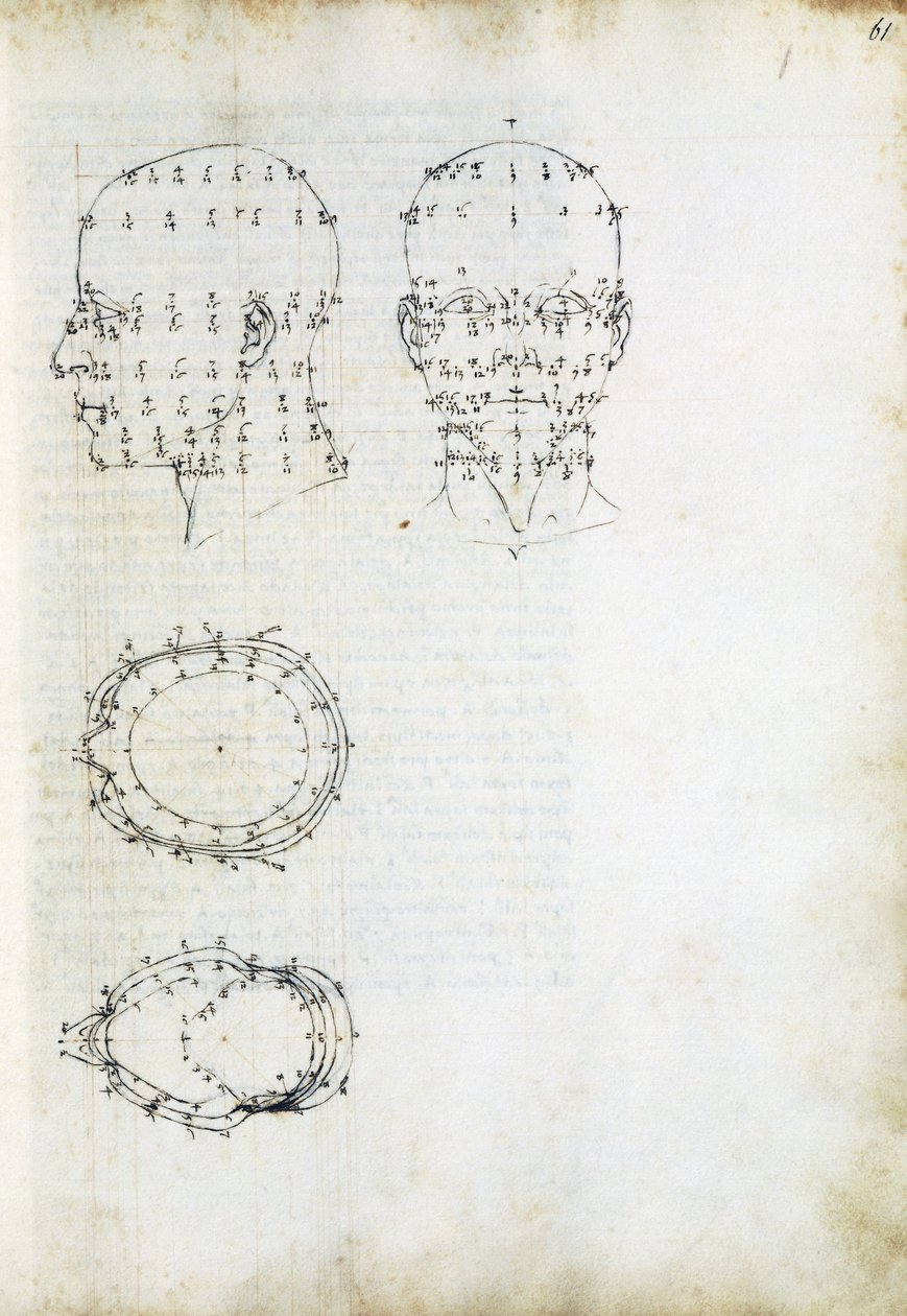 Costruzione e proiezione geometrica della testa, pagina da 