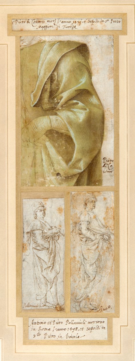 Braccio sinistro e spalla di un uomo pesantemente drappeggiati da Piero di Cosimo