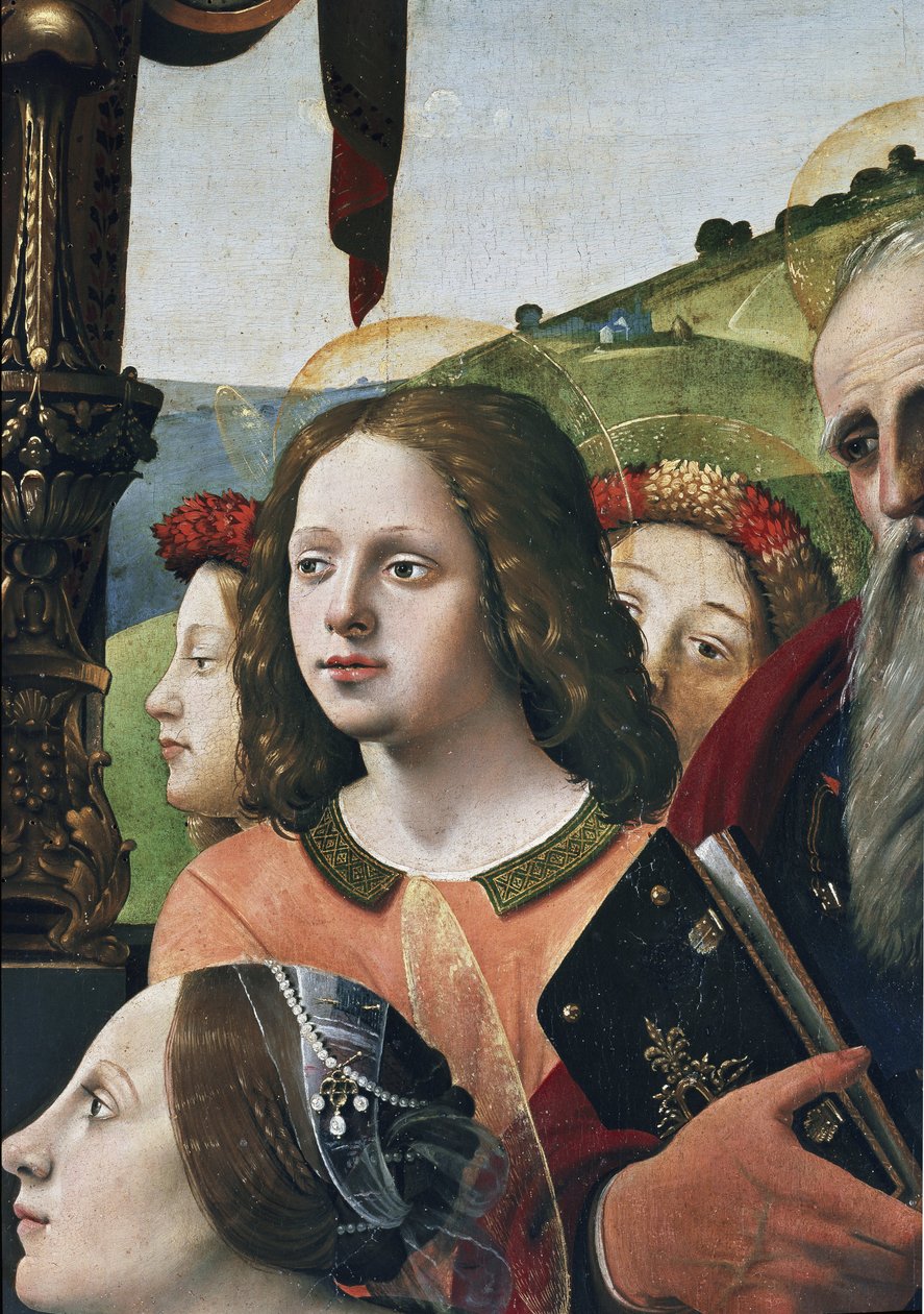 Vergine con Bambino sul trono circondata da santi (dettaglio) da Piero di Cosimo