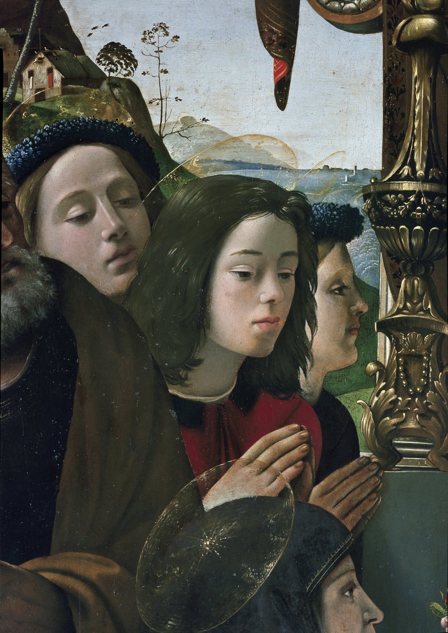 Madonna col Bambino in trono circondata da santi (dettaglio) da Piero di Cosimo