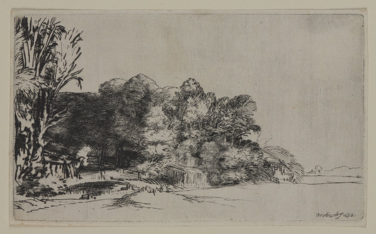 Gruppo di alberi con una vista, 1652 da Pierre Auguste Renoir