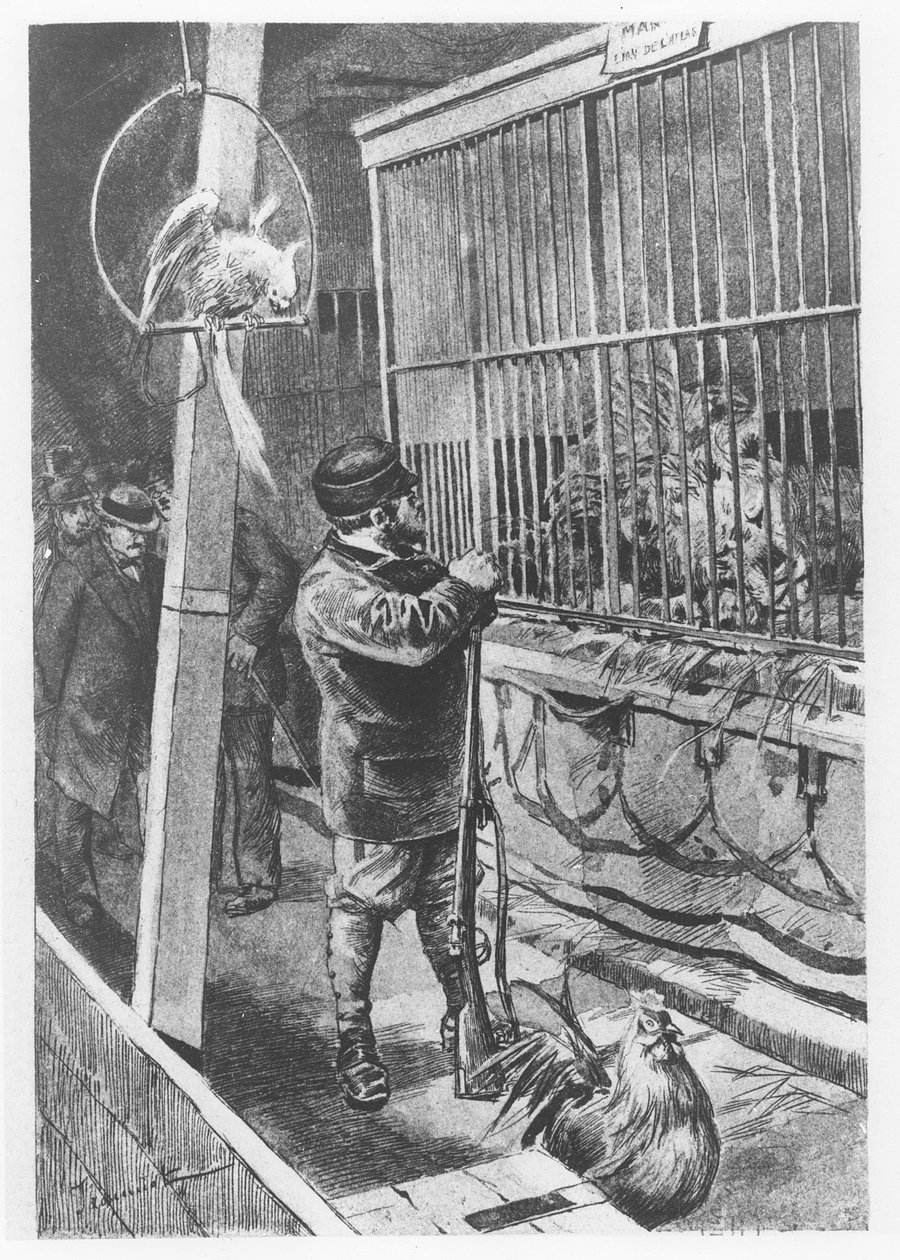 Illustrazione da 