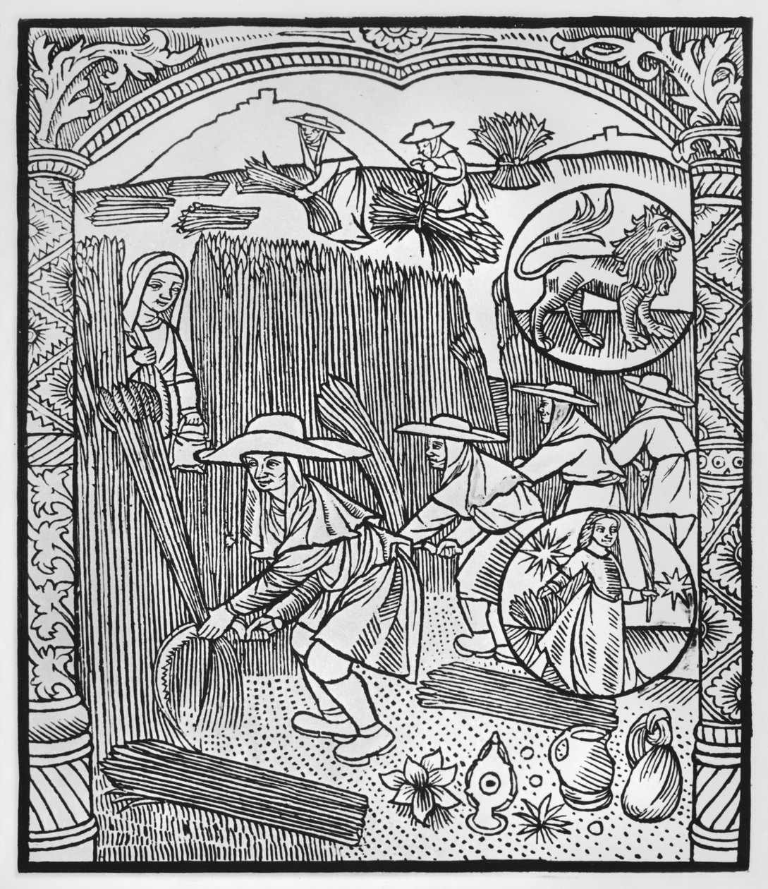 Agosto, raccolta, Leone, illustrazione dall