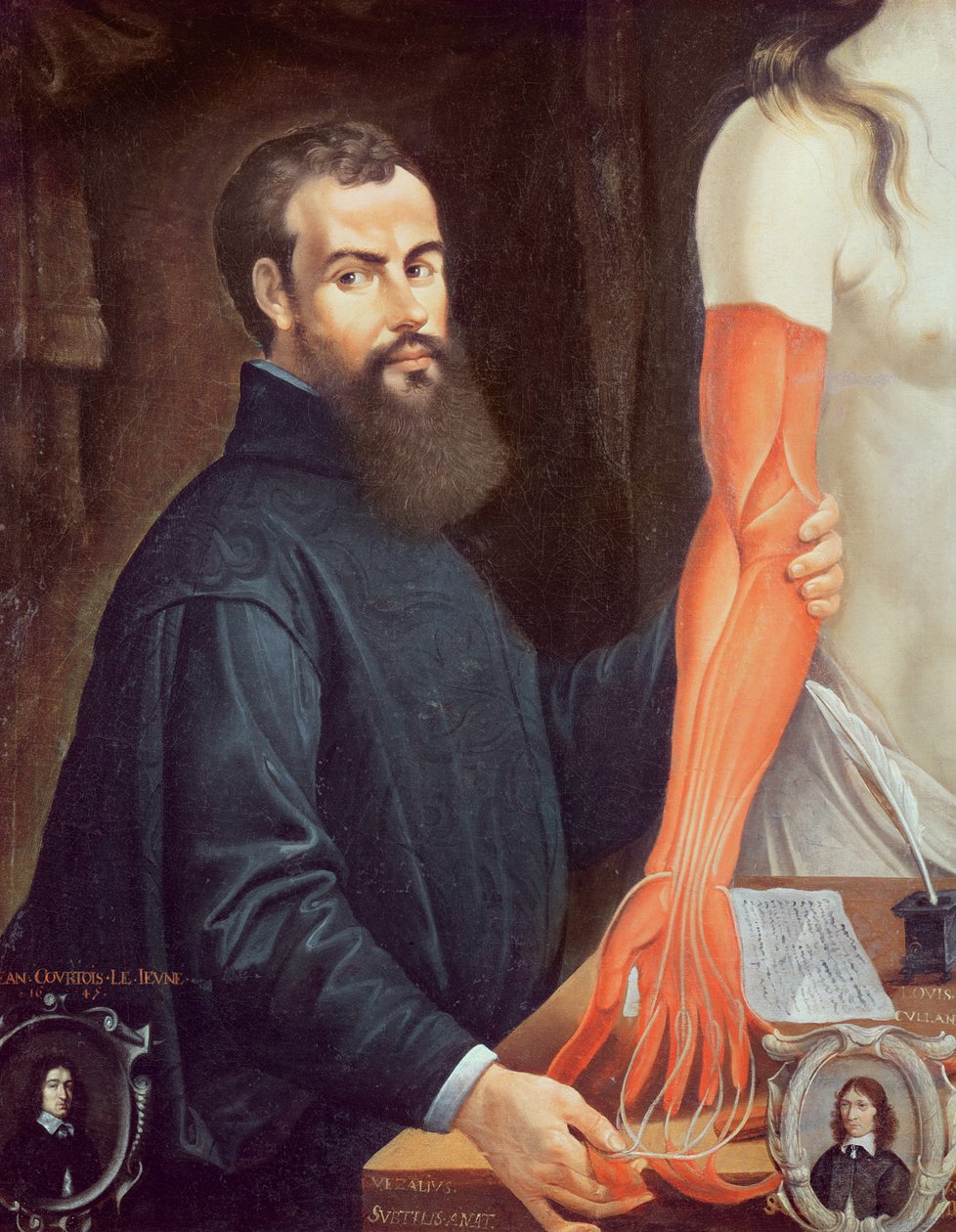 Andreas Vesalius (1514-64) da Pierre Poncet