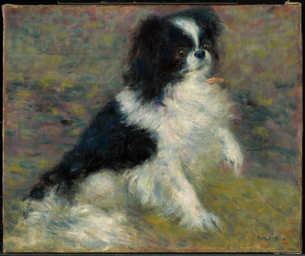 Tama, il cane giapponese da Pierre-Auguste Renoir