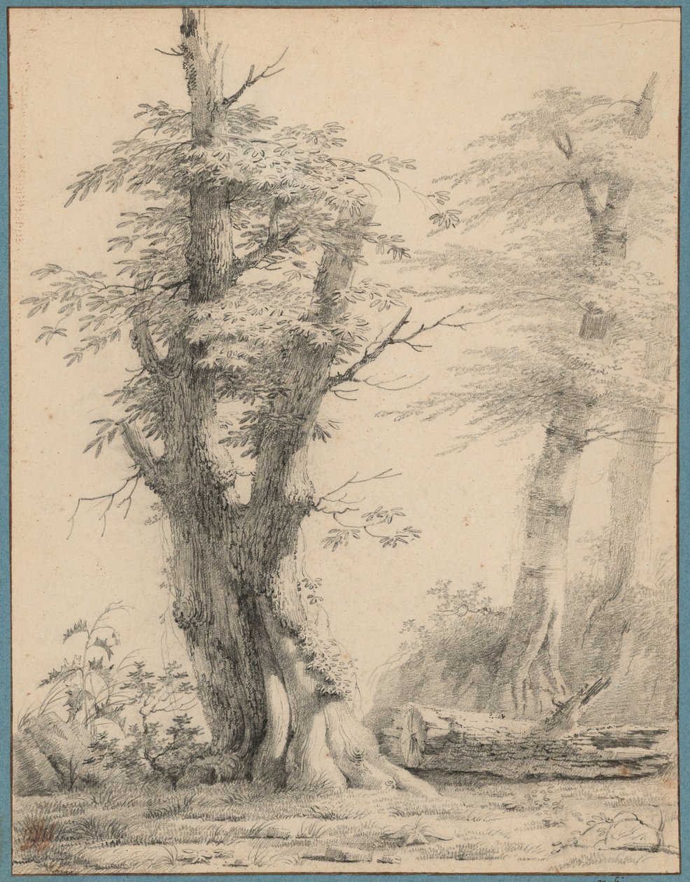 Un gruppo di alberi da Pierre-Henri de Valenciennes