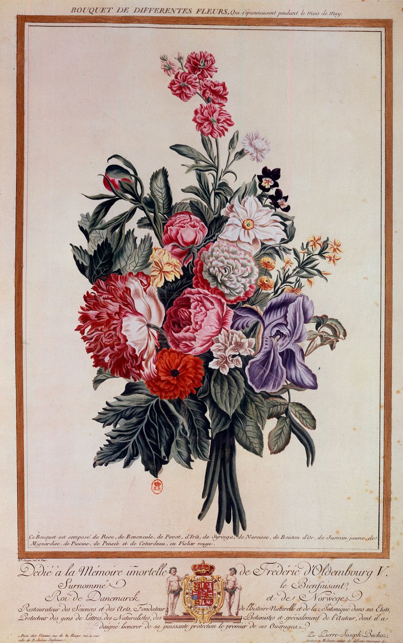 Bouquet di fiori misti litografia di Pierre Joseph da Pierre Joseph Buchoz
