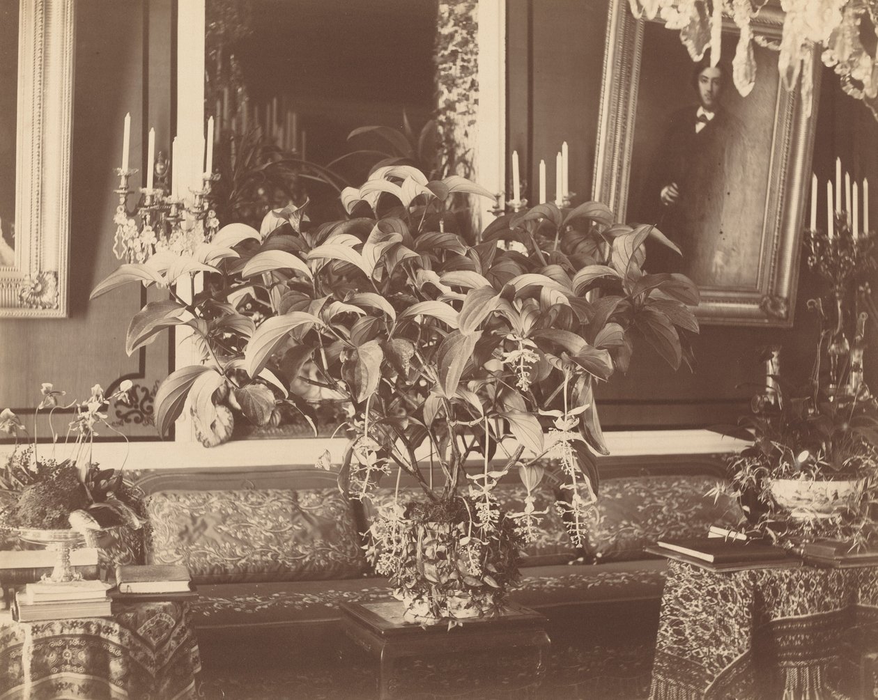 Interno da Pierre Ambroise Richebourg