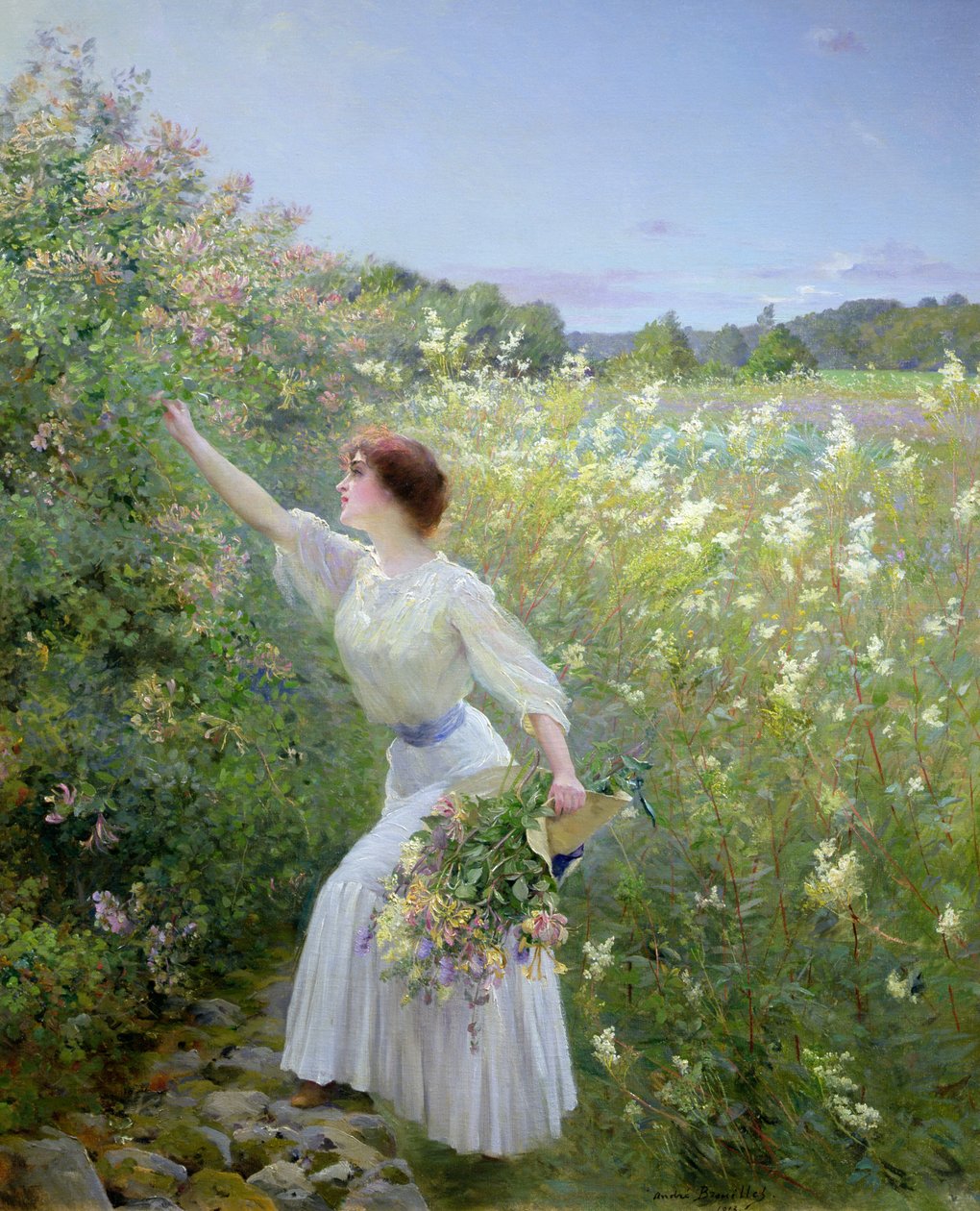 Caprifoglio selvatico da Pierre Andre Brouillet