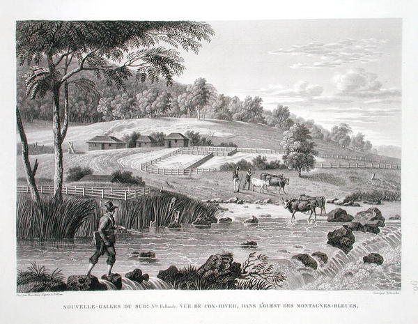 Nuovo Galles del Sud, Nuova Olanda: Vista del fiume Cox a ovest delle Blue Mountains, da 