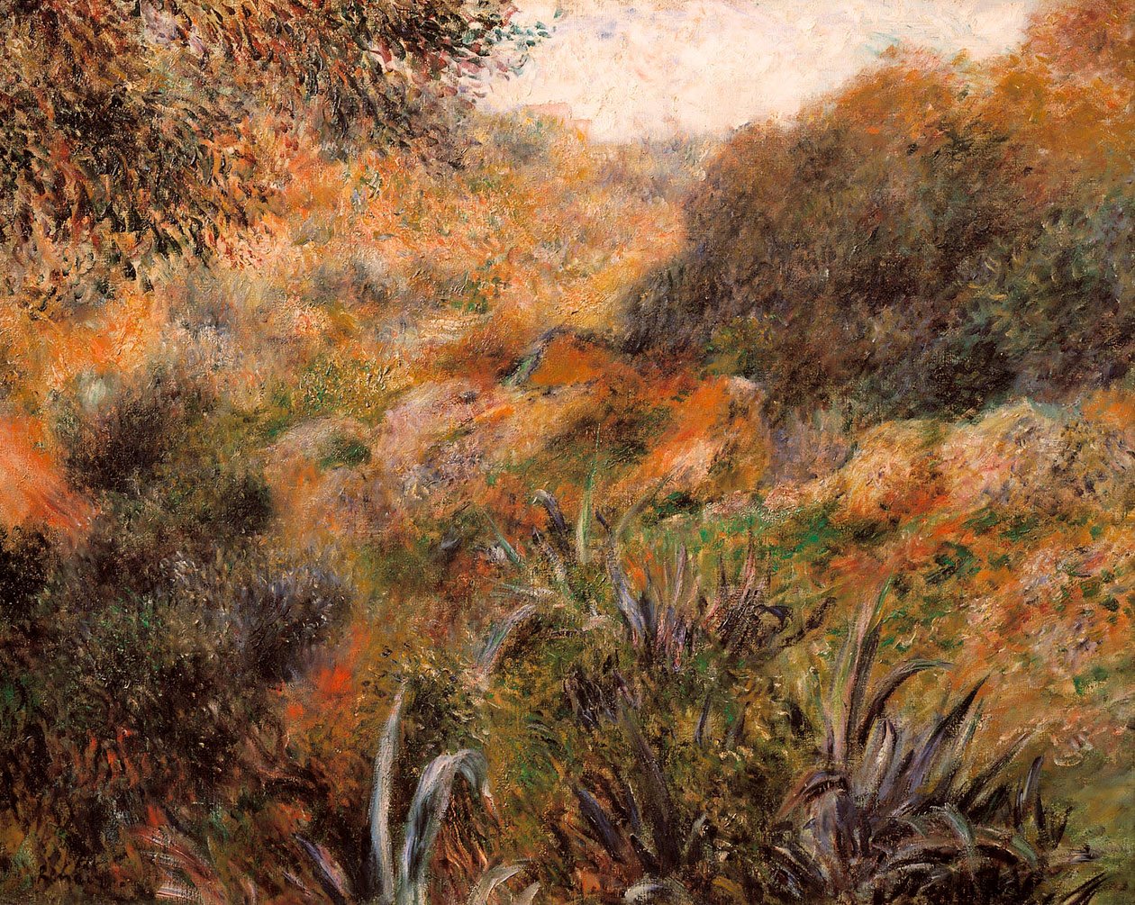 Paesaggio algerino, il burrone della donna selvaggia da Pierre Auguste Renoir