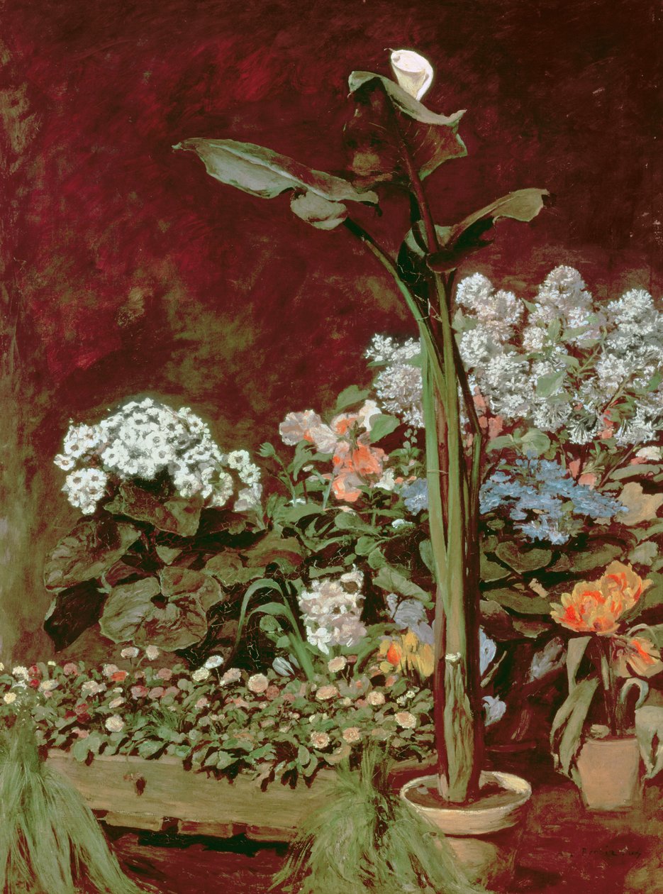  da Pierre Auguste Renoir