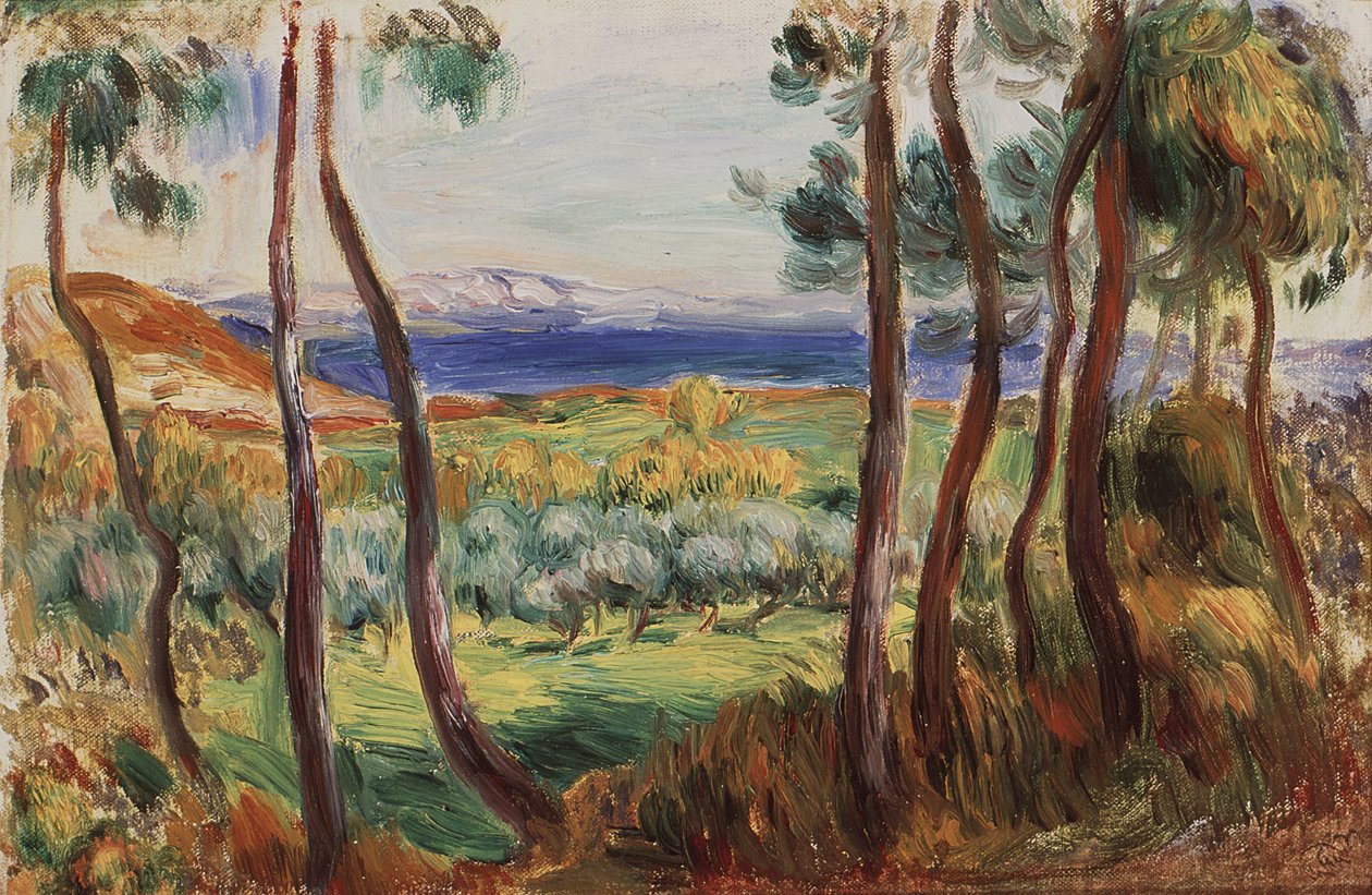 Pini nei dintorni di Cagnes, c. 1910 da Pierre Auguste Renoir
