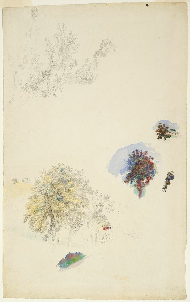 Studi di alberi e fogliame da Pierre Auguste Renoir