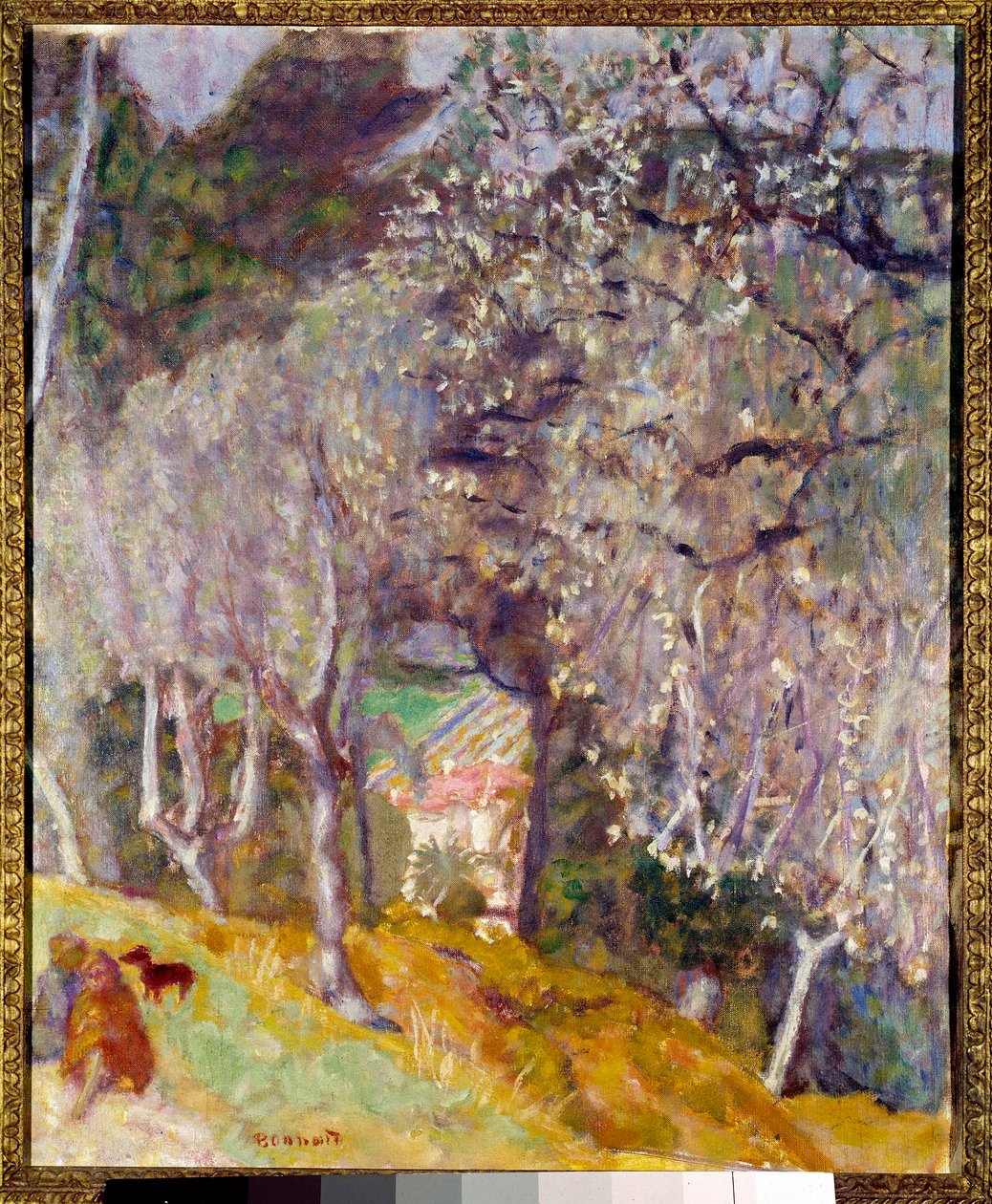 Casa tra gli ulivi da Pierre Bonnard