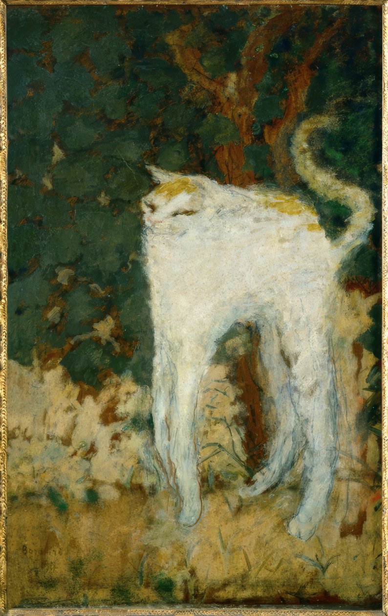 Il gatto bianco da Pierre Bonnard