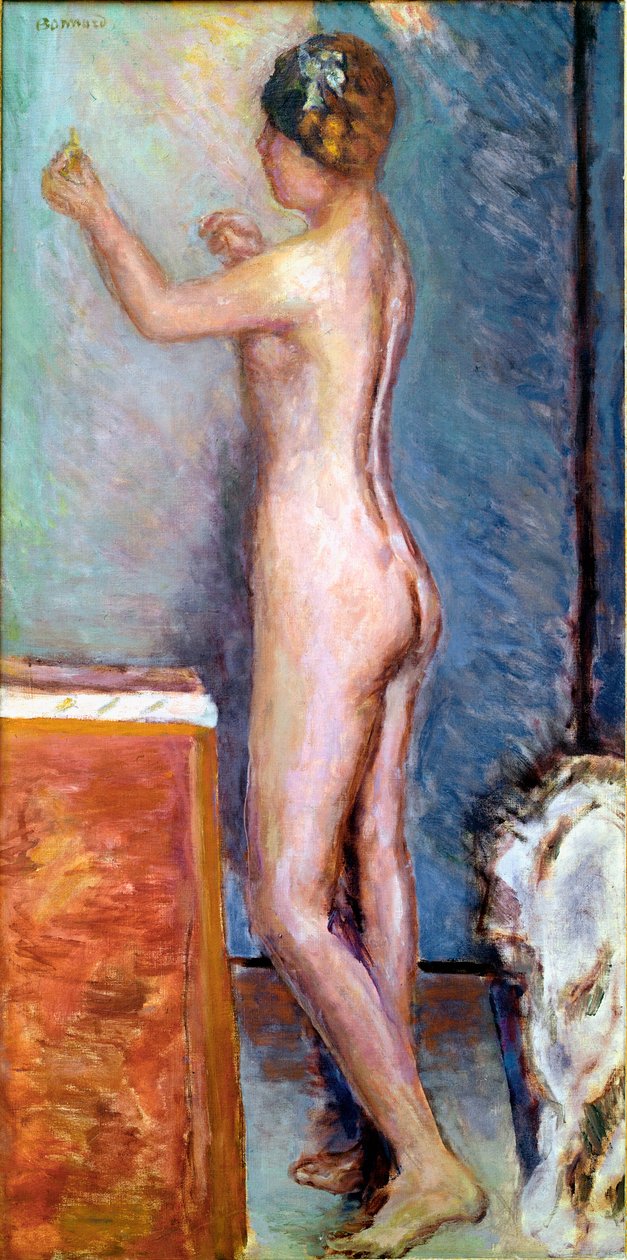 Nudo su sfondo blu da Pierre Bonnard