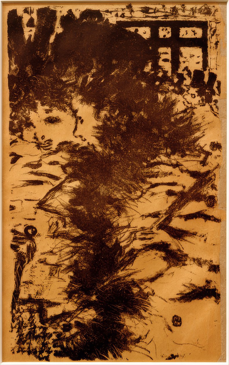 Parigine da Pierre Bonnard