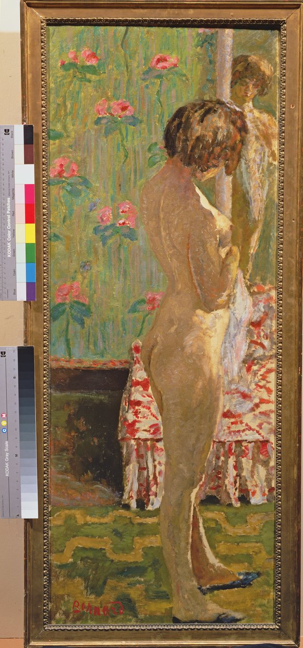 Nudo femminile in piedi da Pierre Bonnard