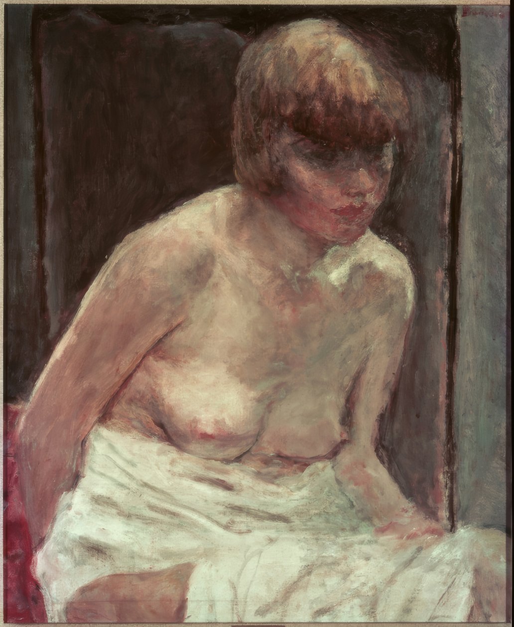 Torso di giovane donna in vestaglia bianca da Pierre Bonnard
