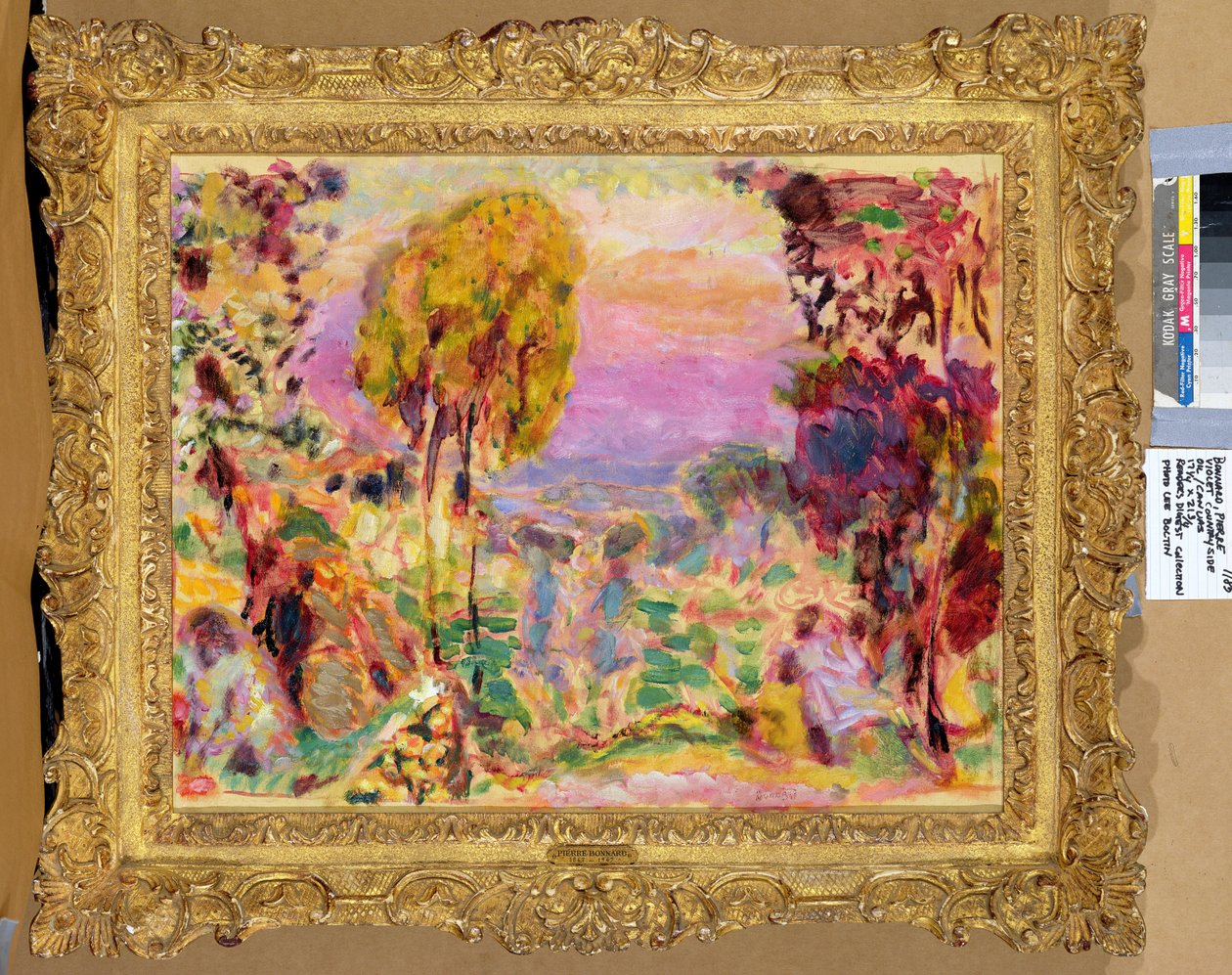 Campagna viola da Pierre Bonnard