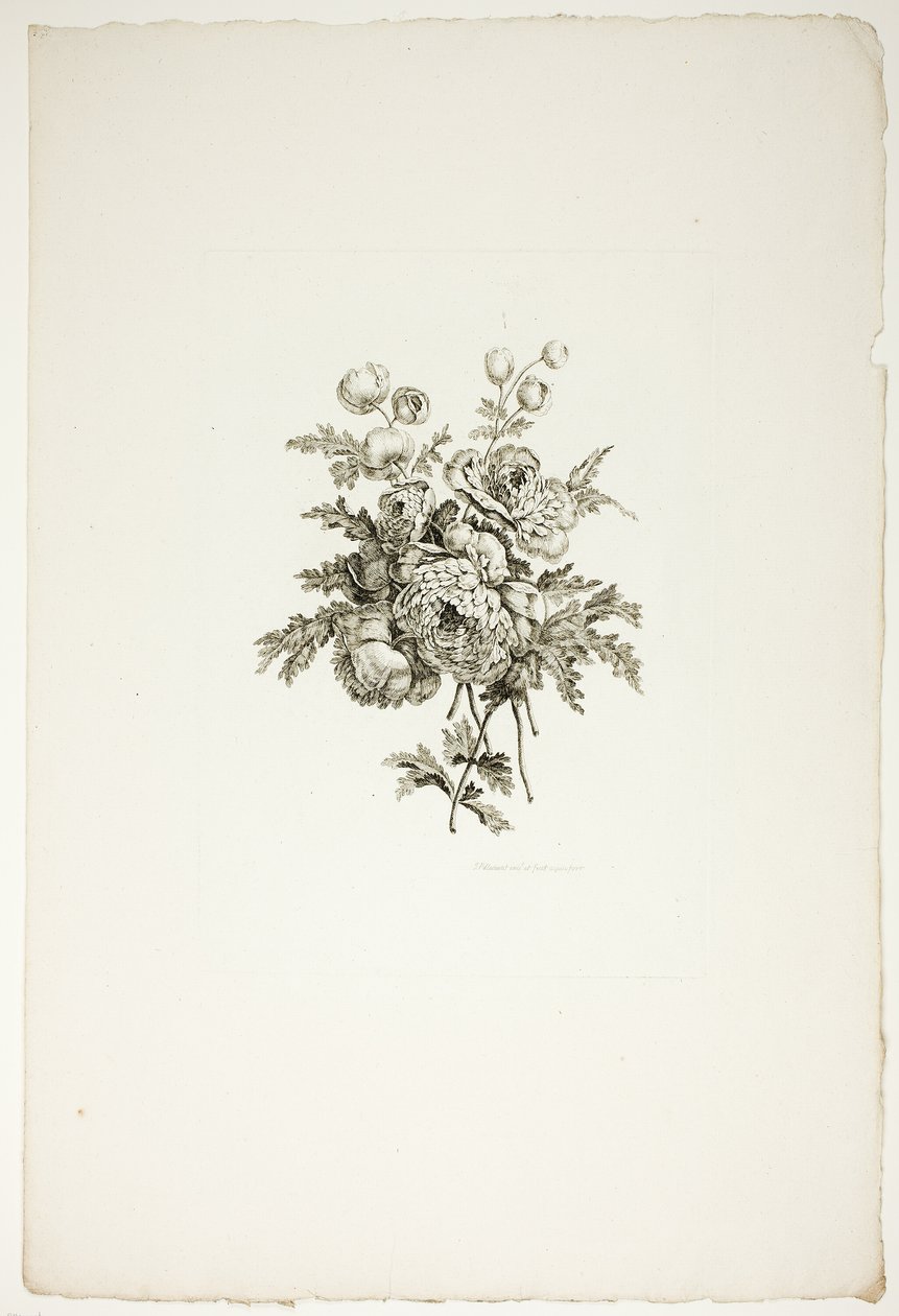 Bouquet con peonie, da una raccolta di diversi mazzi di fiori, inventati e disegnati da Jean Pillement e incisi da P. C. Canot da Pierre Charles Canot