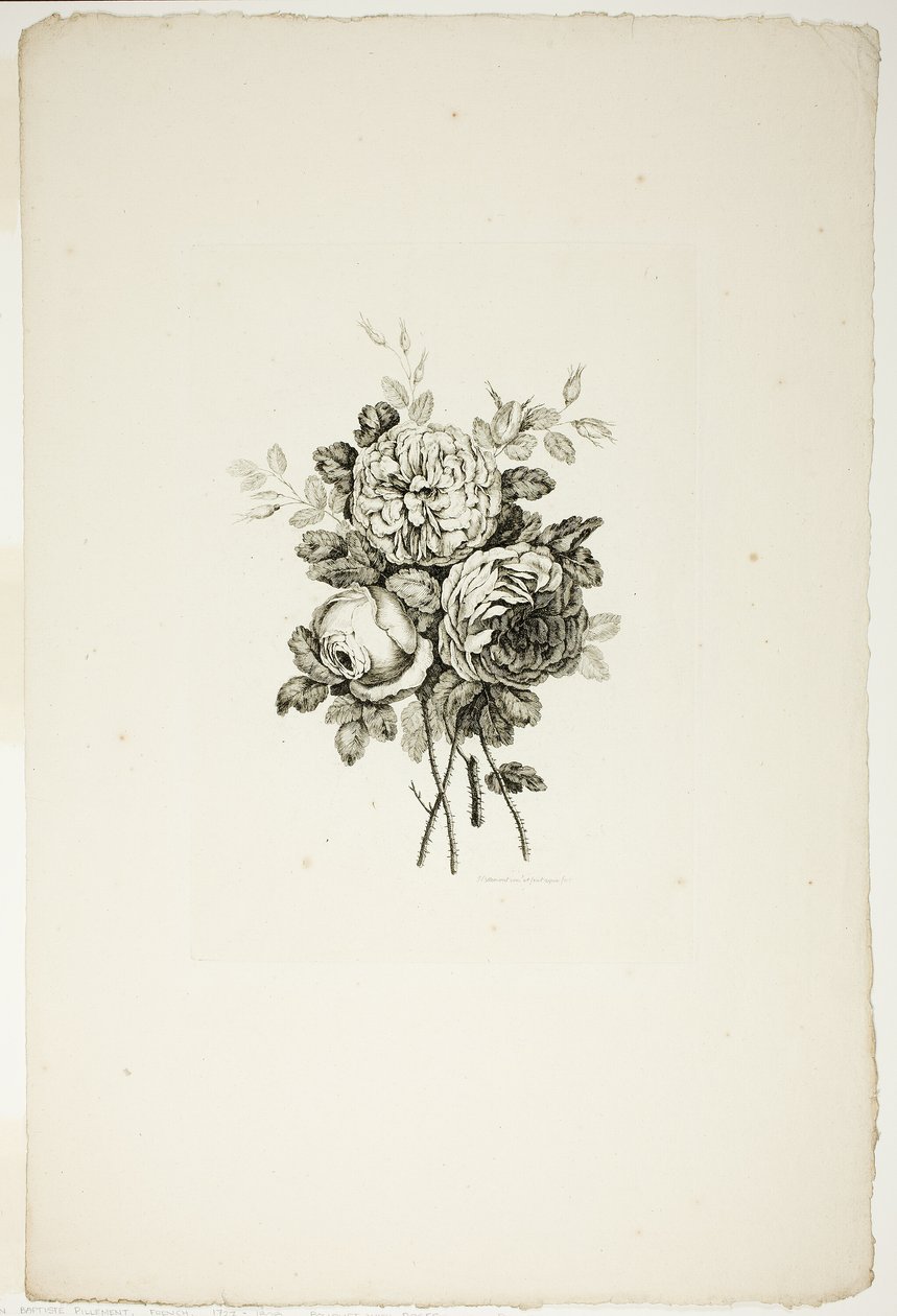 Bouquet con Rose, dalla Collezione di Diversi Mazzi di Fiori, Inventato e Disegnato da Jean Pillement e Inciso da P. C. Canot da Pierre Charles Canot