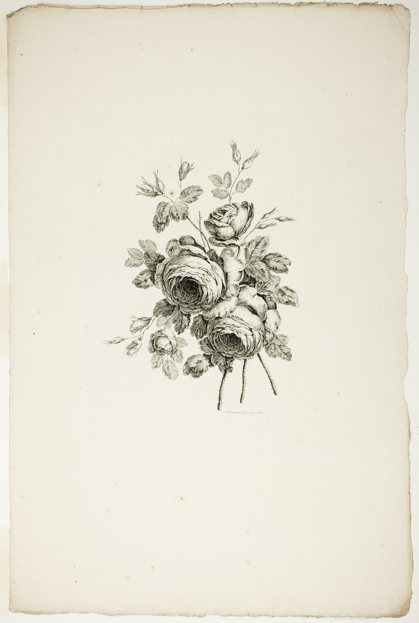 Bouquet con rose, dalla Collezione di diversi bouquet di fiori, inventati e disegnati da Jean Pillement e incisi da P. C. Canot da Pierre Charles Canot