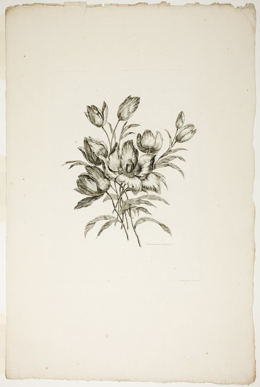Bouquet con tulipani, dalla Collezione di diversi bouquet di fiori, inventati e disegnati da Jean Pillement e incisi da P. C. Canot da Pierre Charles Canot