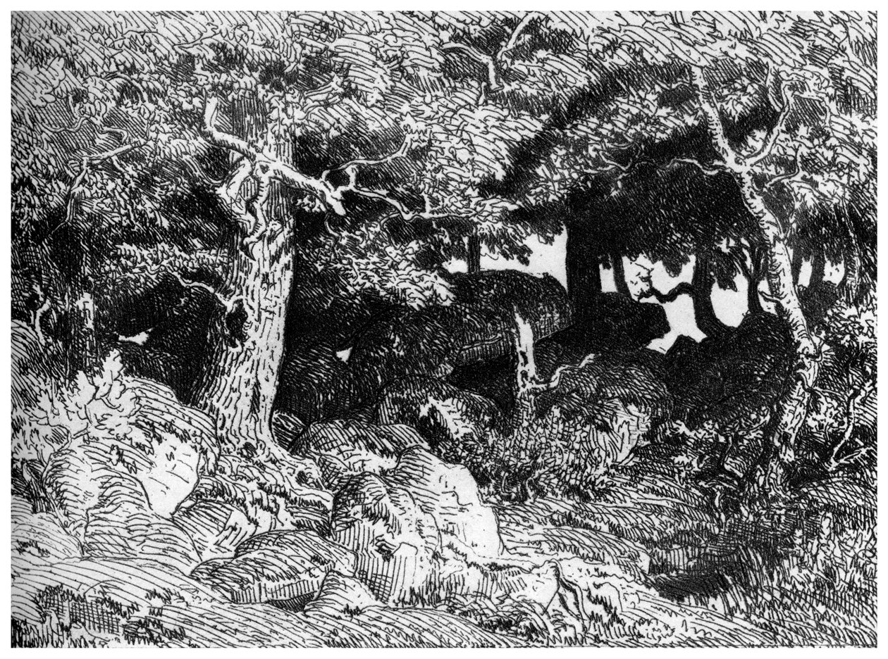 Les Chenes de Roche, c. 1832-1860, 1924 da Pierre Etienne Theodore Rousseau