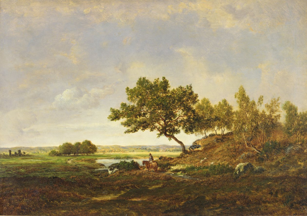 Lo stagno ai piedi della collina, c.1848-55 da Pierre Etienne Theodore Rousseau