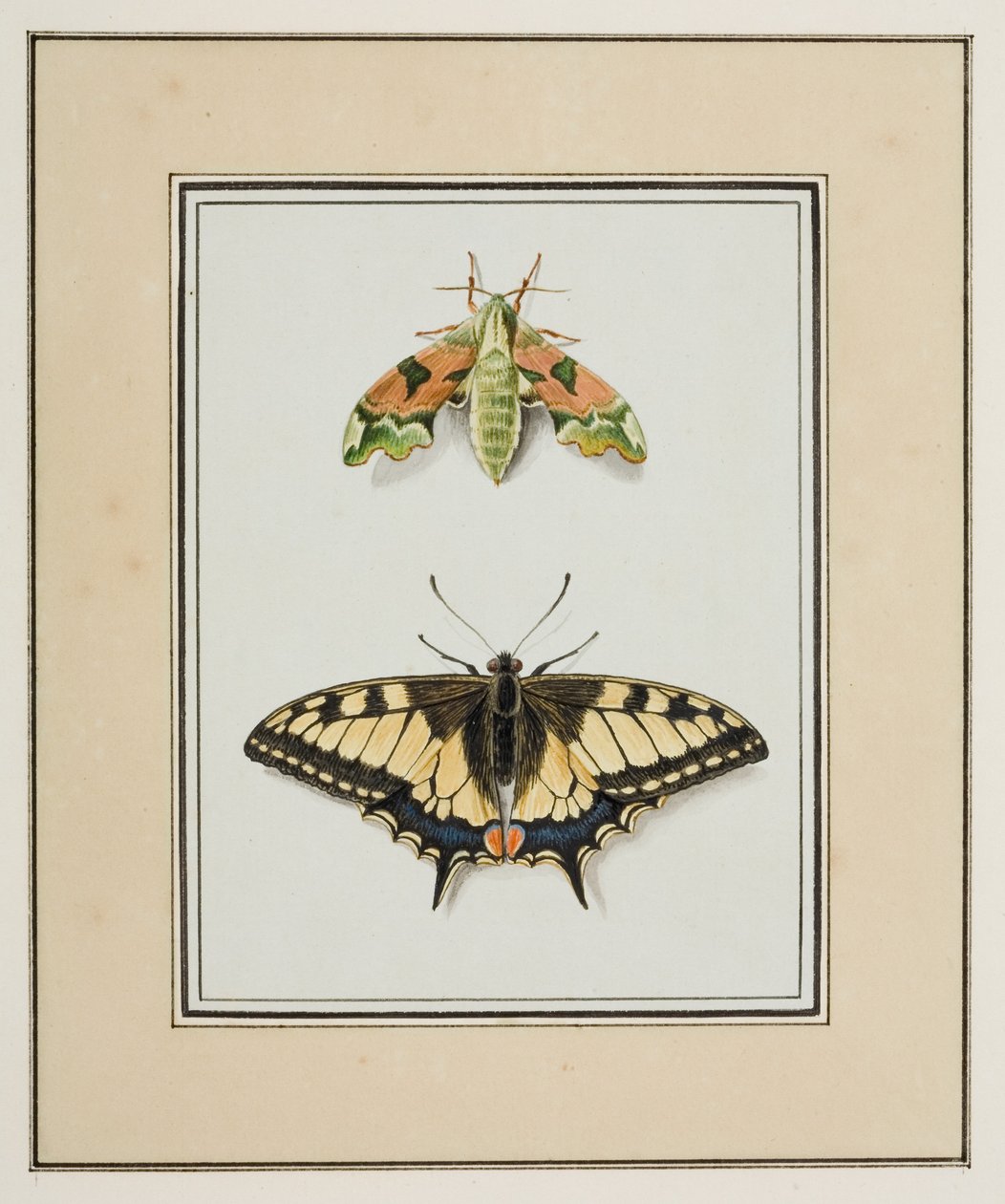 Sfinge e macaone, c.1755-65 da Pierre Francois Ledoulx