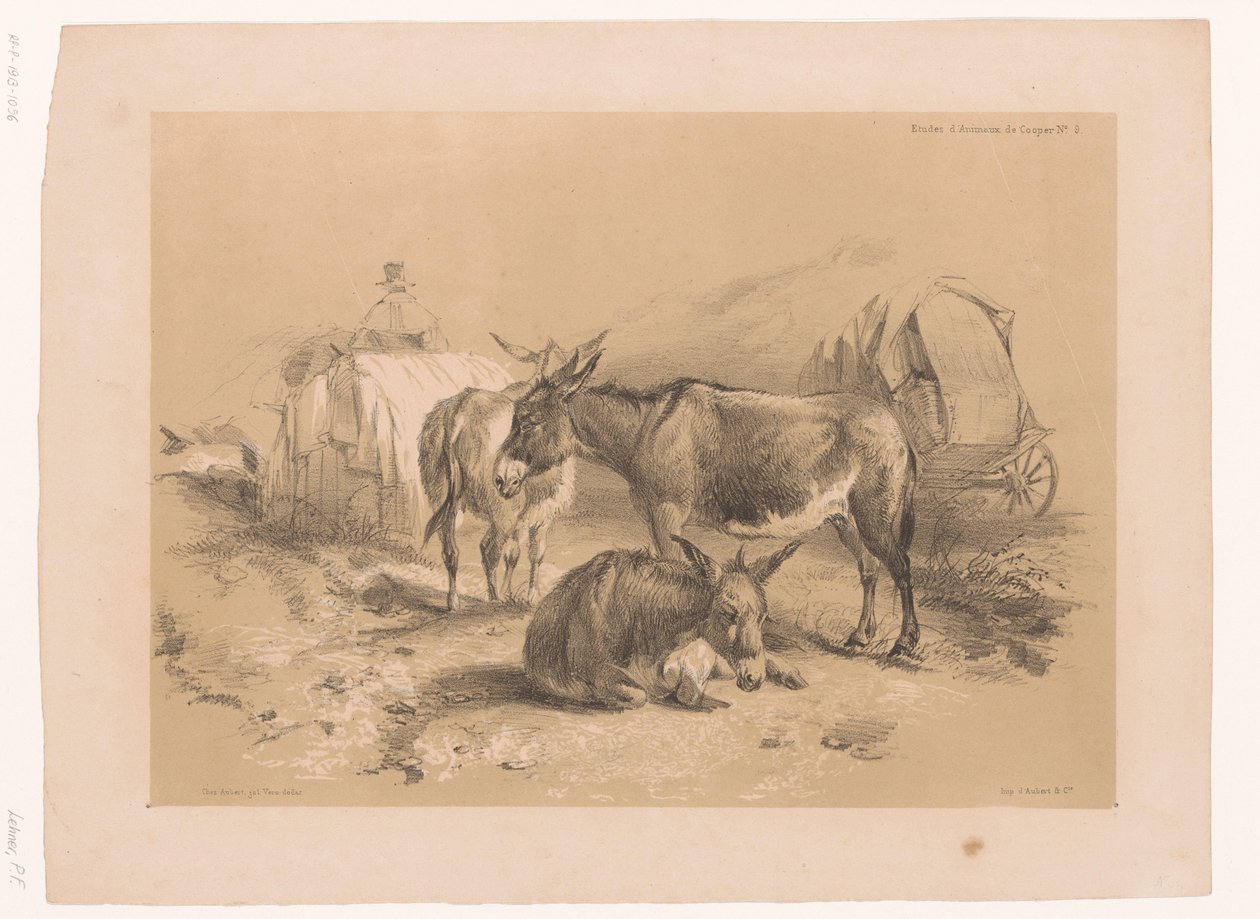 Studio di tre asini da Pierre Frédéric Lehnert
