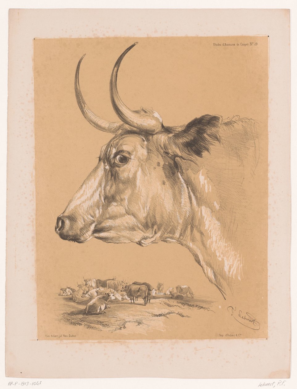 Studio di un bovino da Pierre Frédéric Lehnert