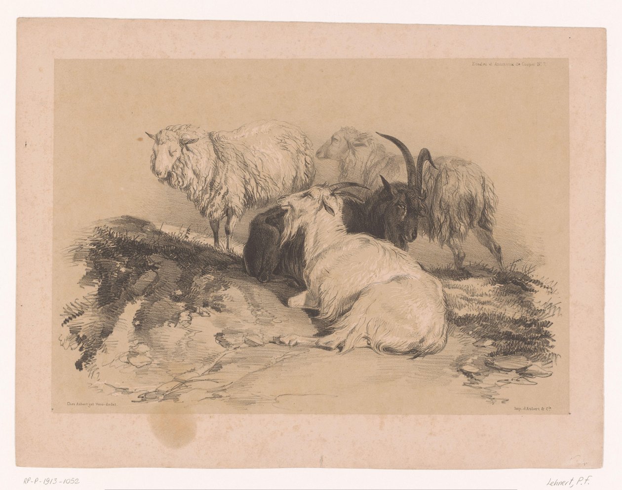 Studio di pecore e capre da Pierre Frédéric Lehnert