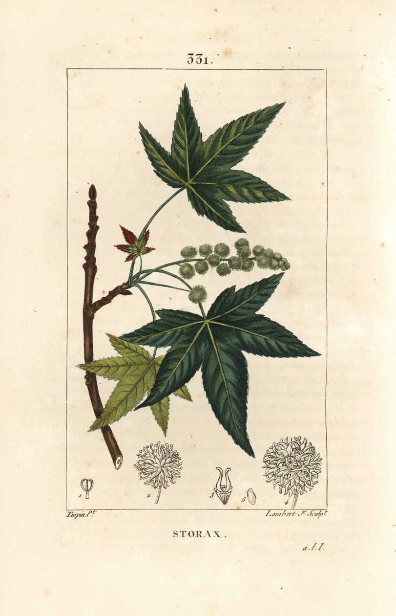 Copalm d