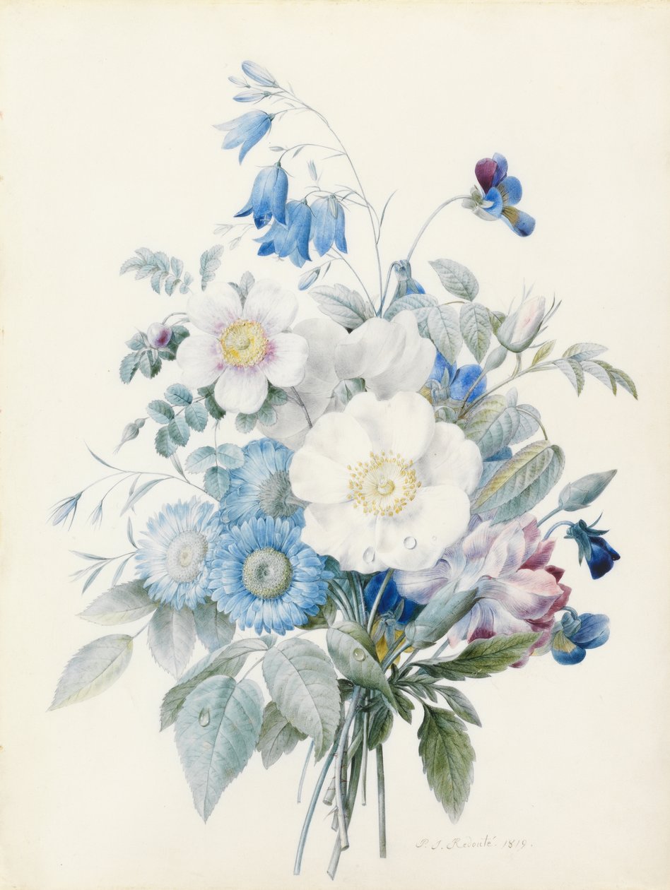 Astri blu, rosa spinosissima (ibrida), campanula, viole, garofano e una rosa selvatica da Pierre Joseph Redouté