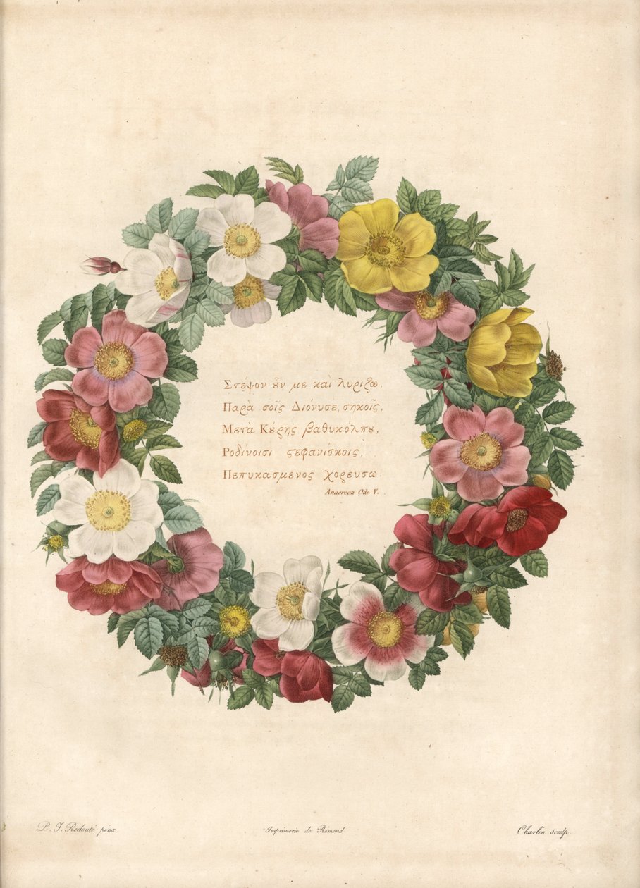 Corona di rose con un motto greco da Pierre Joseph Redouté
